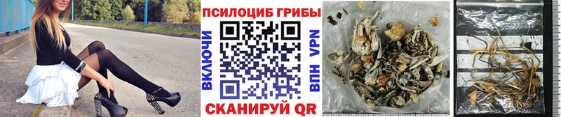 Галлюциногенные грибы мицелий  Демидов 